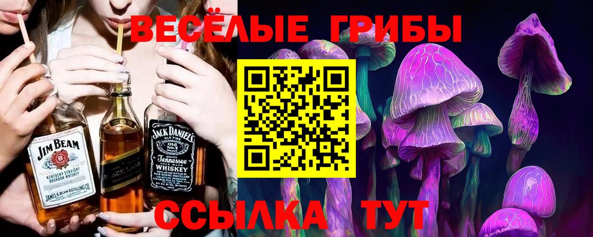 Псилоцибиновые грибы прущие грибы Саранск